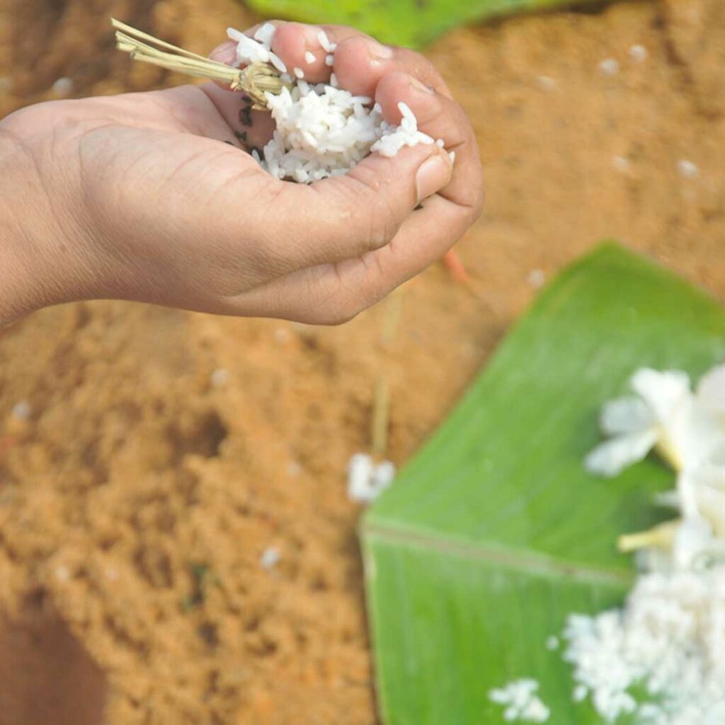 Ivar madom service number for emergency cremation: +91 94462 95160